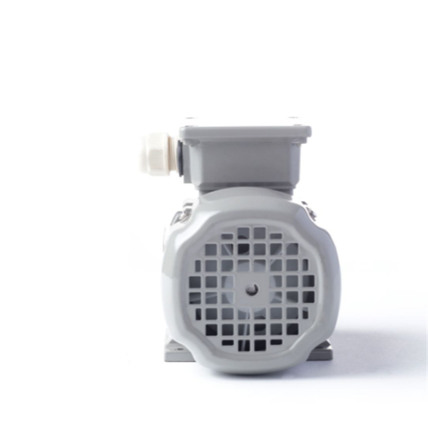 德國AC MOTOREN三相異步雙速電機AC16L4600001