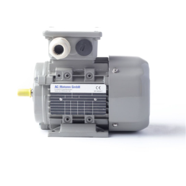 德國AC MOTOREN三相異步雙速電機AC16L4600001